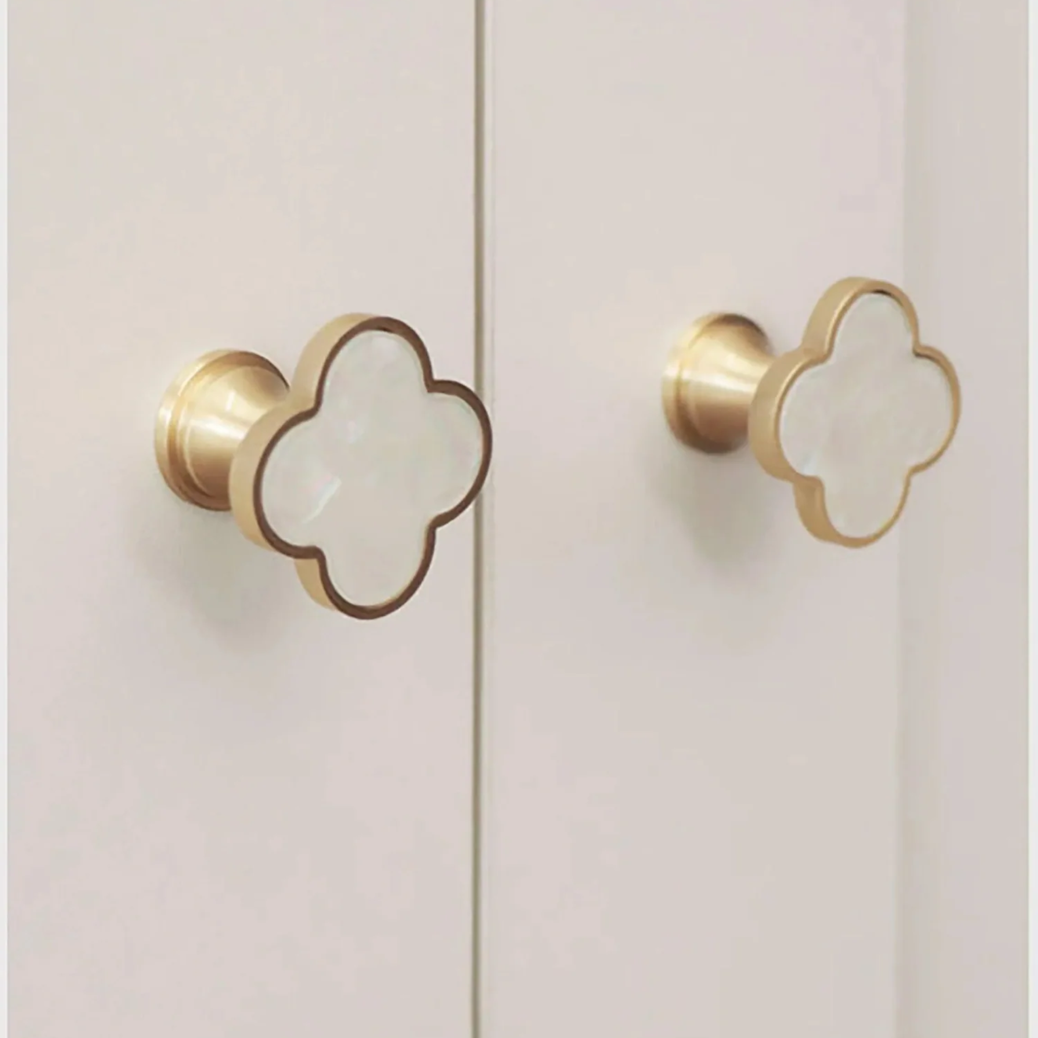 Brass essence Clover Brass Cabinet Knob from the Collection, featuring a polished brass finish and classic round design.