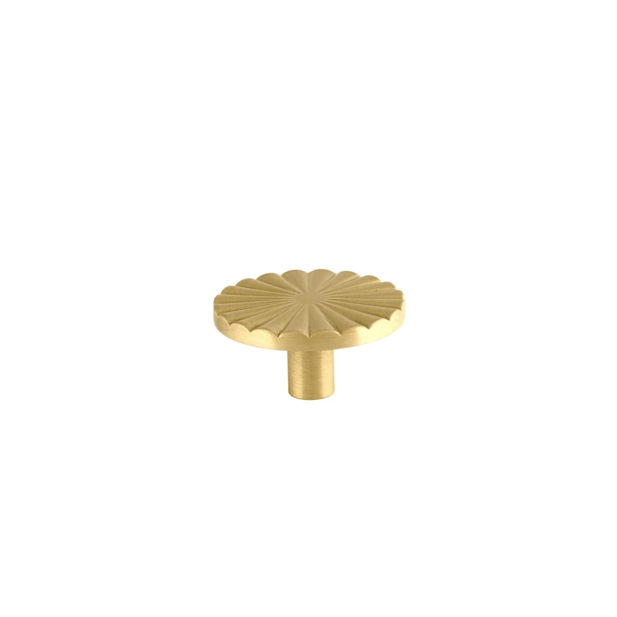 Brass Essence Cherry Blossom Sunburst Brass Knob with intricate floral design on polished brass surface.